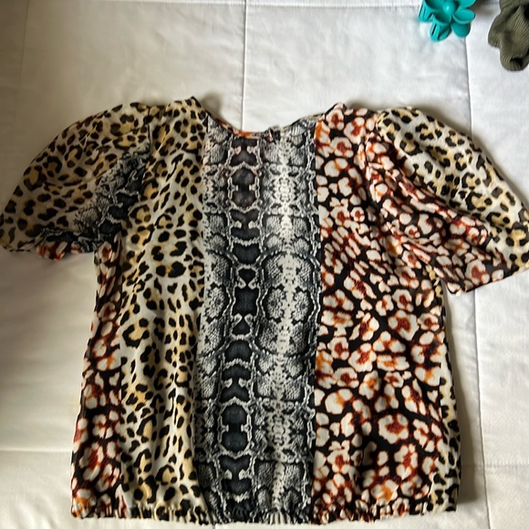 Express cheetah banded top - Picture 2 of 5